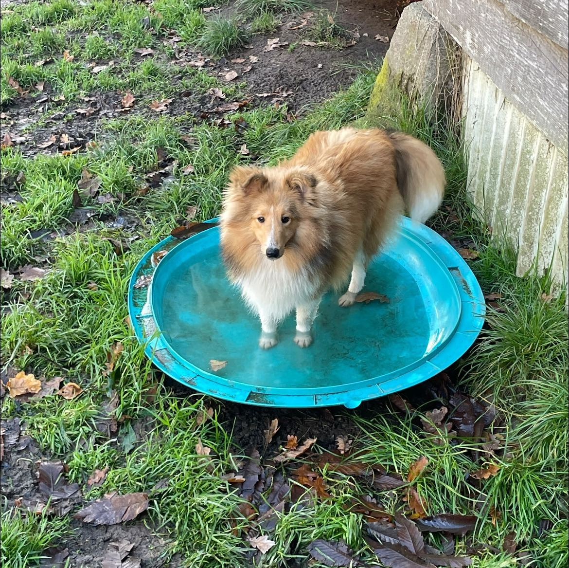 Amour Éternel aru Du Jardin D'aouregan
