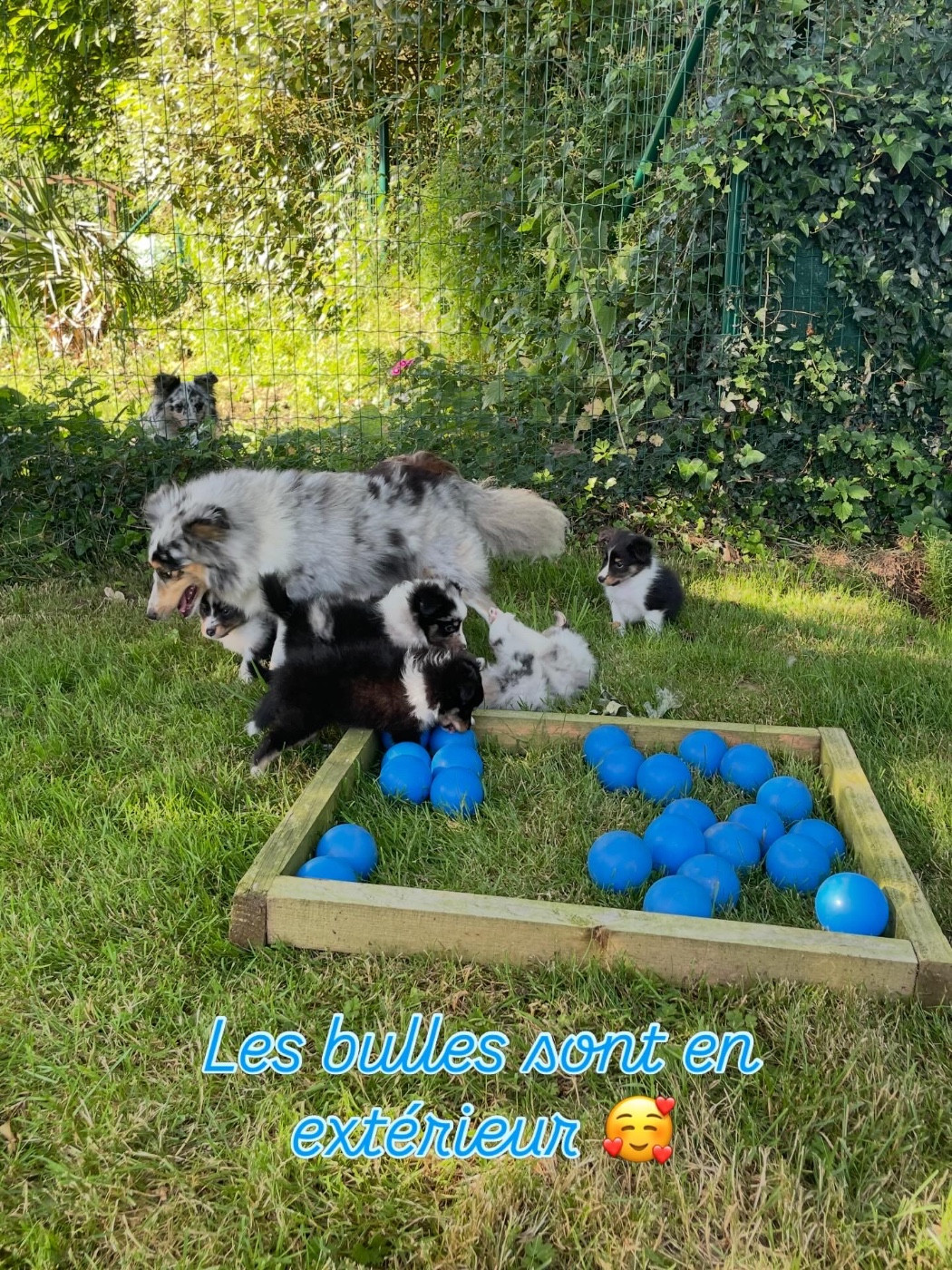 Portée Réasilvia/T'sanji